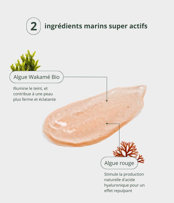 Masque de beauté à l’algue wakamé