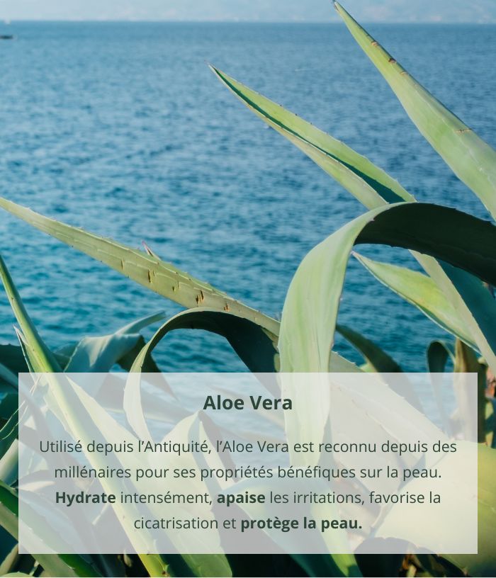 Eau micellaire démaquillante à l’aloe véra