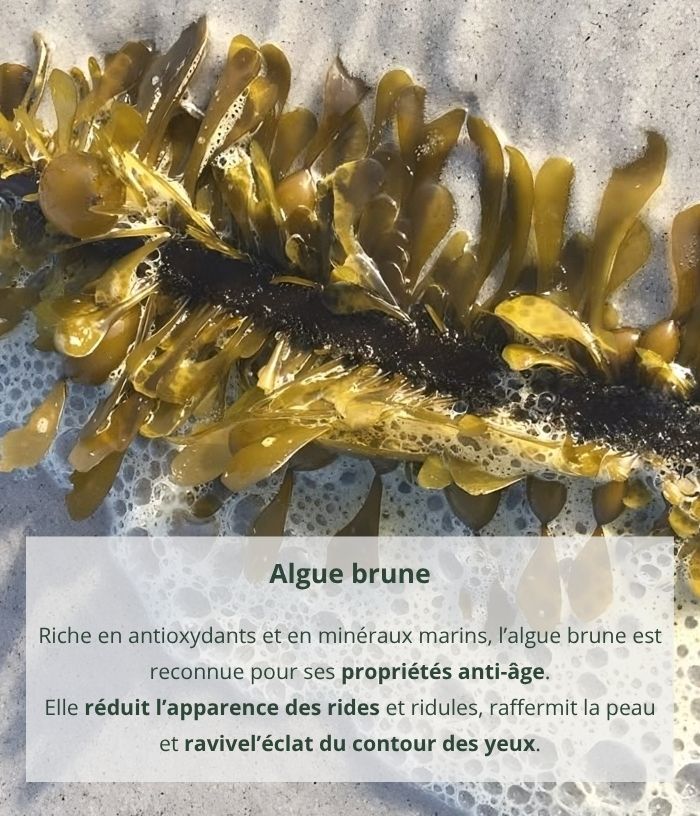 Contour des yeux anti-âge à l'algue brune
