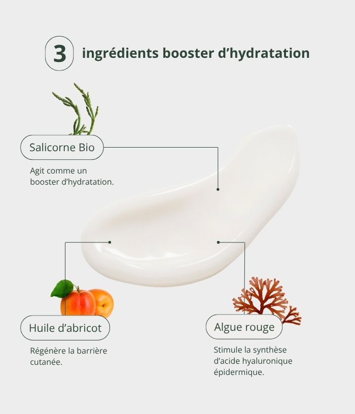 Crème Hydratante à la Salicorne