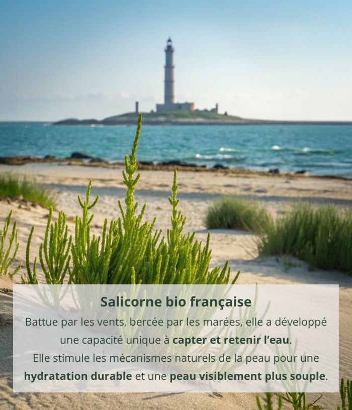 Crème Hydratante à la Salicorne