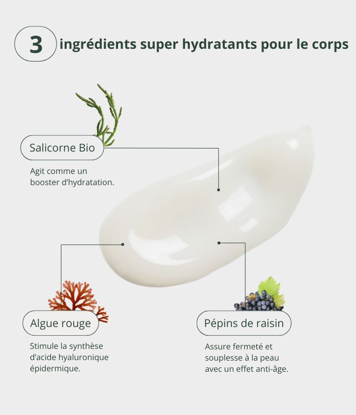 Lait hydratant à la salicorne