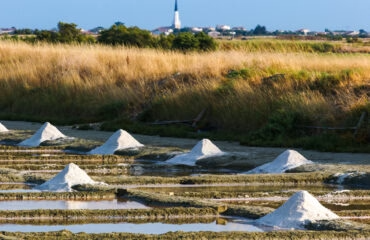 Fleur de sel de l'Île de Ré