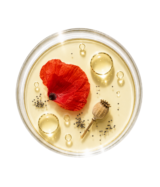 Huile de Coquelicot