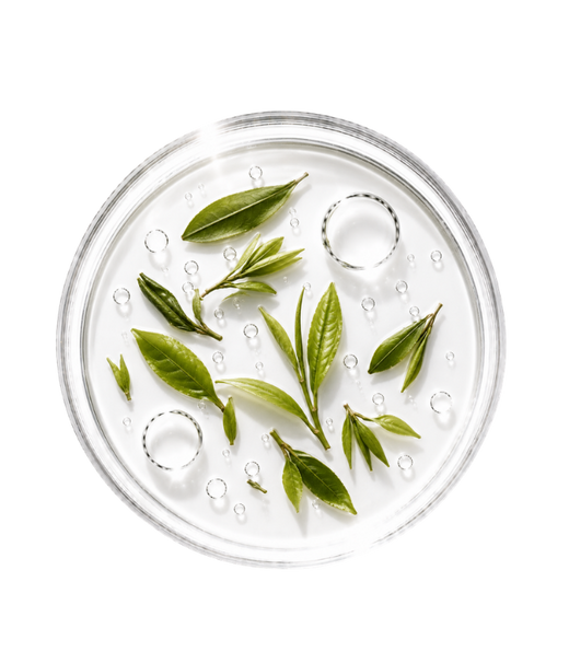 Thé Vert